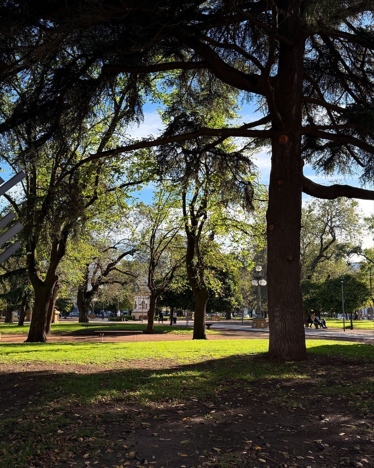 Plaza Independencia Tandil: el corazón de la ciudad donde todo empieza
