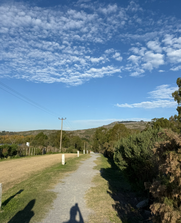 El Camino Misterioso de Tandil: la ilusión óptica serrana que te va a dejar sin palabras