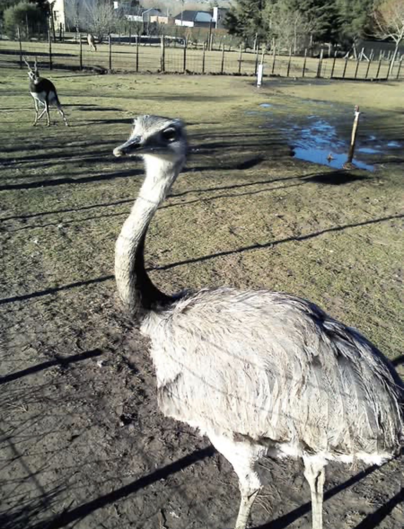 Tandil con chicos: la guía completa para un viaje en familia sin complicaciones