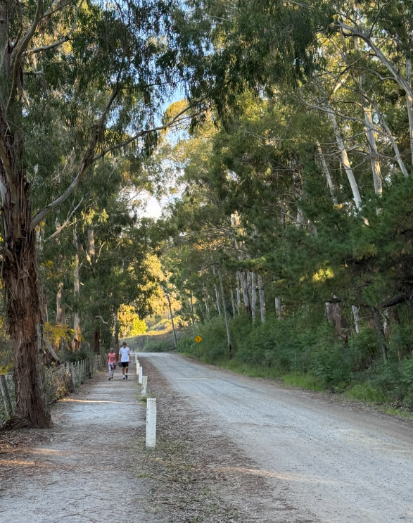 Itinerarios Premium de Tandil: el plan armado que necesitás para no improvisar en tu visita