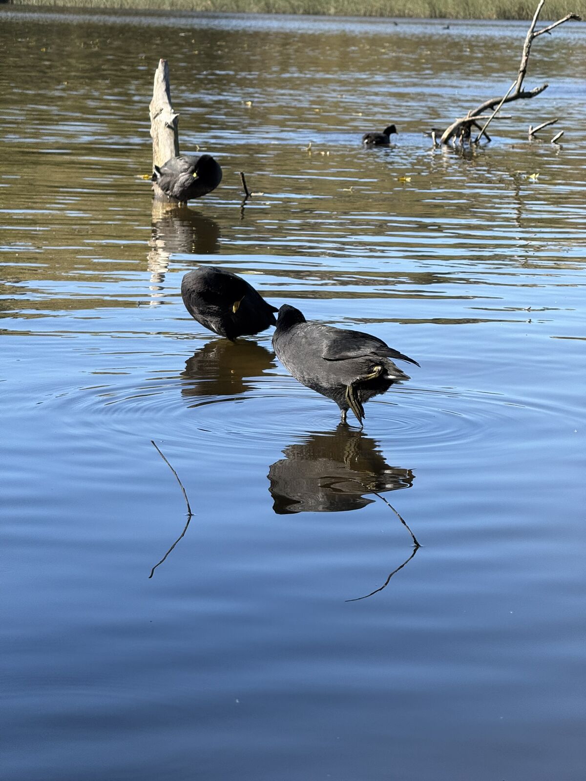El arroyo secreto del Dique de Tandil: un rincón que está a la vista pero nadie conoce