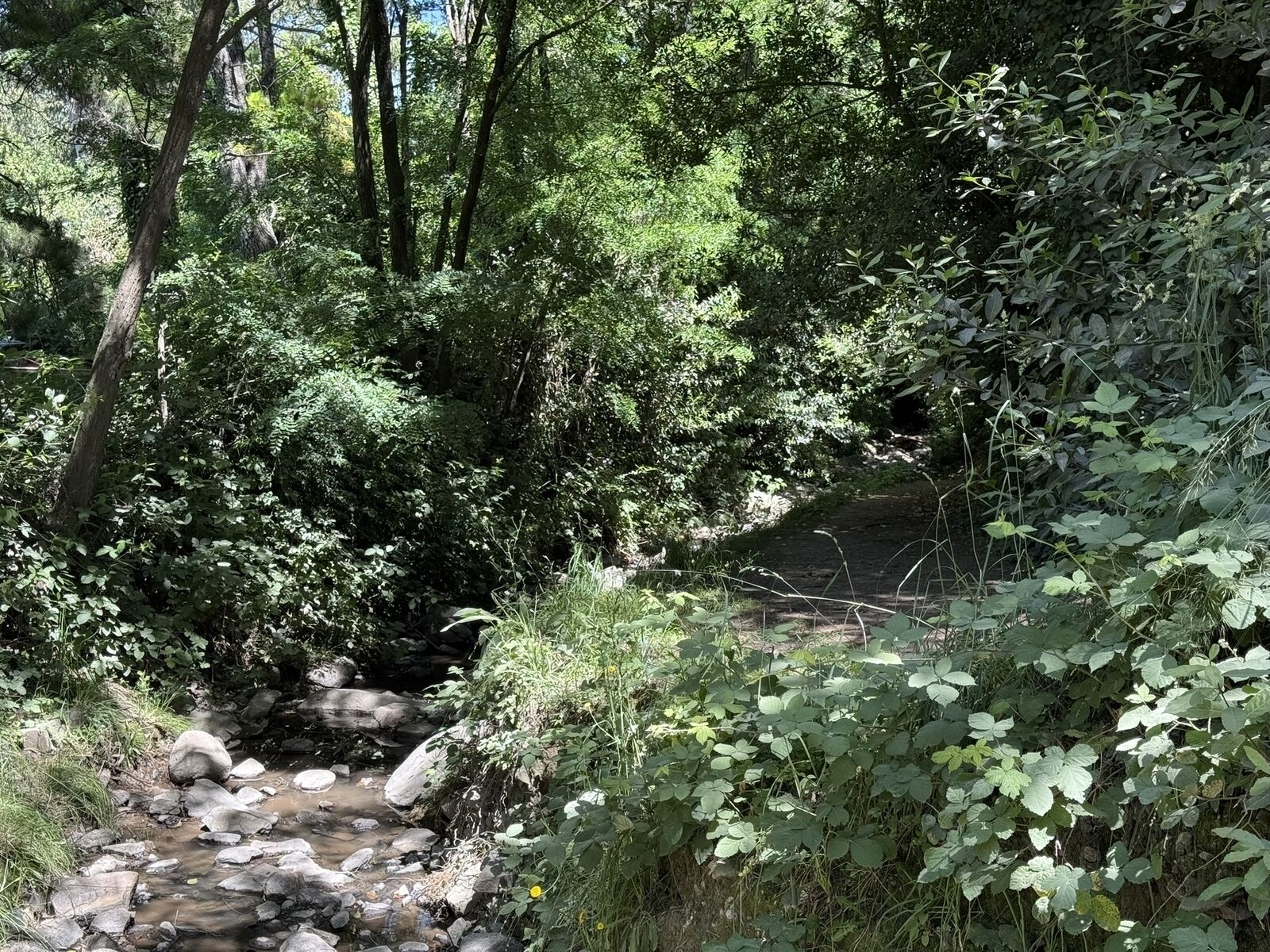Los rincones ocultos de Tandil que los turistas no conocen (pero los locales sí)