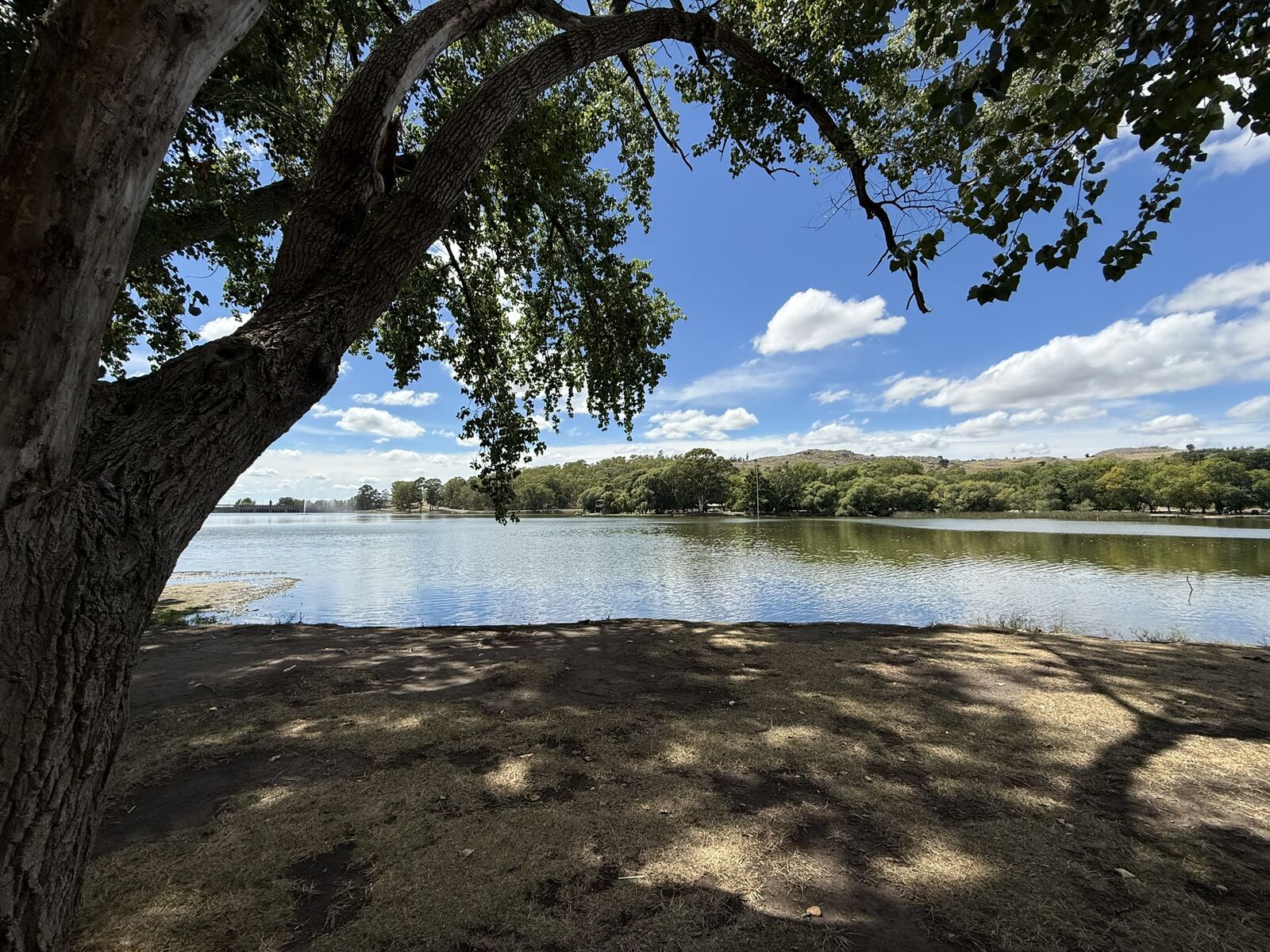 Paseo de los Españoles Tandil: sauces, sombra y el mejor rincón verde junto al Lago del Fuerte