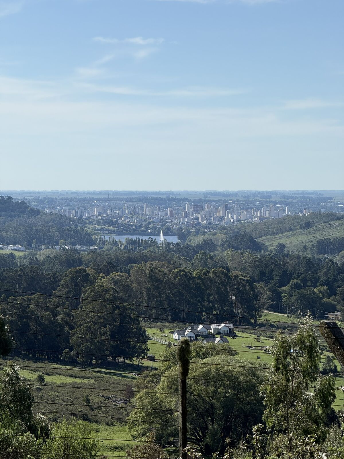 Naturaleza en Tandil: bosques, arroyos y fauna que pocos viajeros esperan encontrar