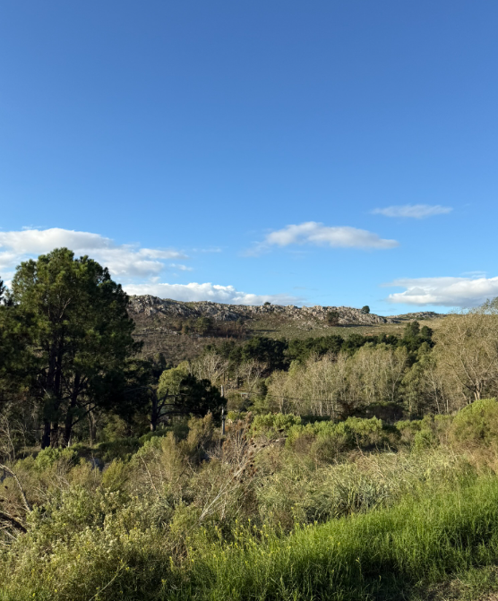 Monumento a Don Quijote de la Mancha