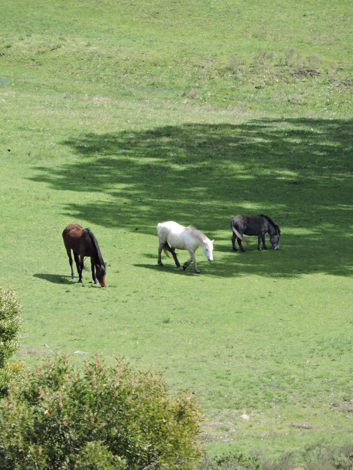 Cristo de las Sierras