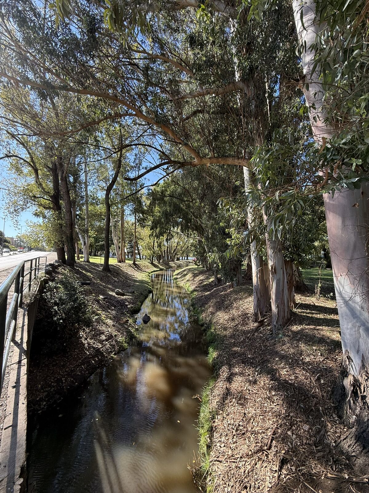 Arroyo en la Escollera Oeste - El Dique de Tandil