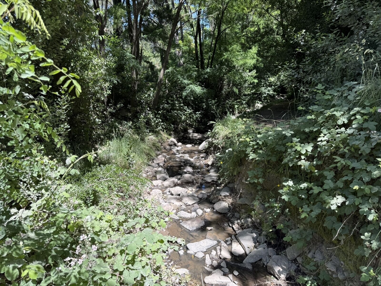 Arroyo escondido - Parque del Origen