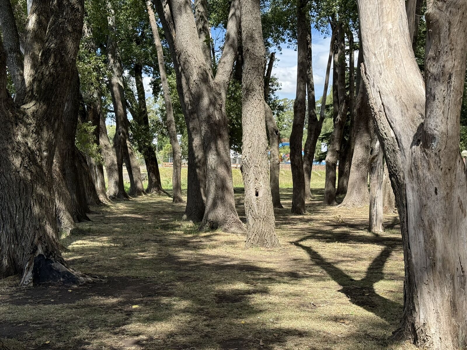 Paseo de los Españoles - Sector Sur del Lago