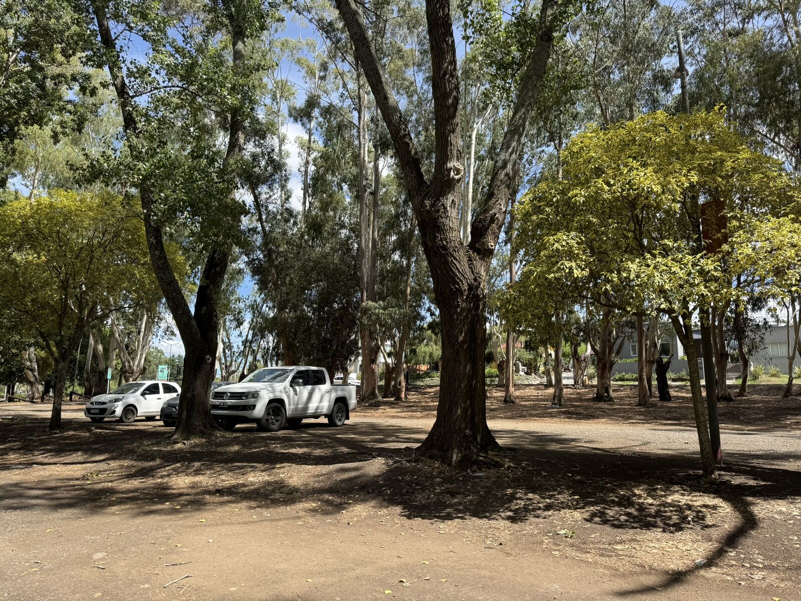 Paseo de los Españoles - Sector Sur del Lago
