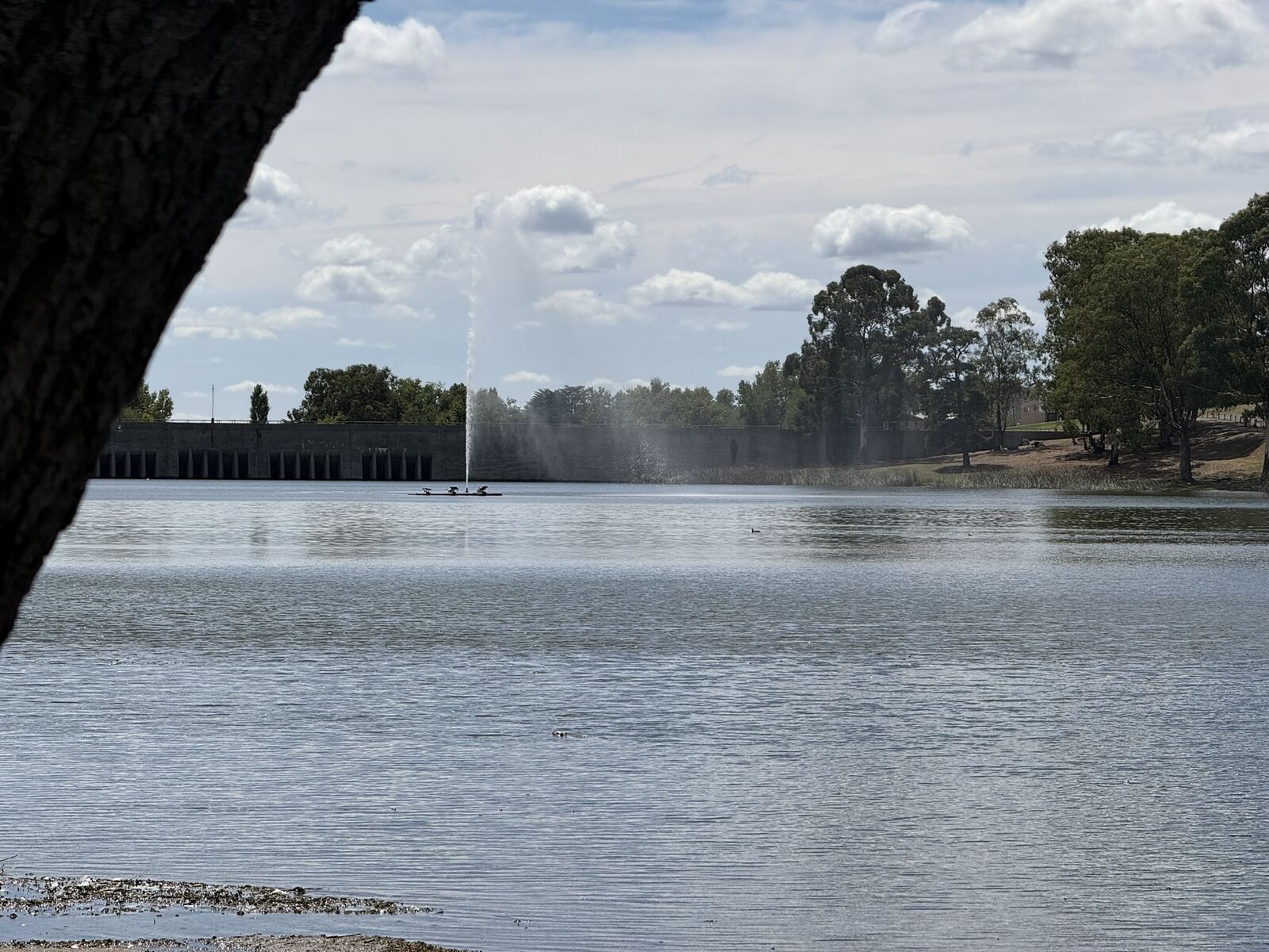 Paseo de los Españoles - Sector Sur del Lago