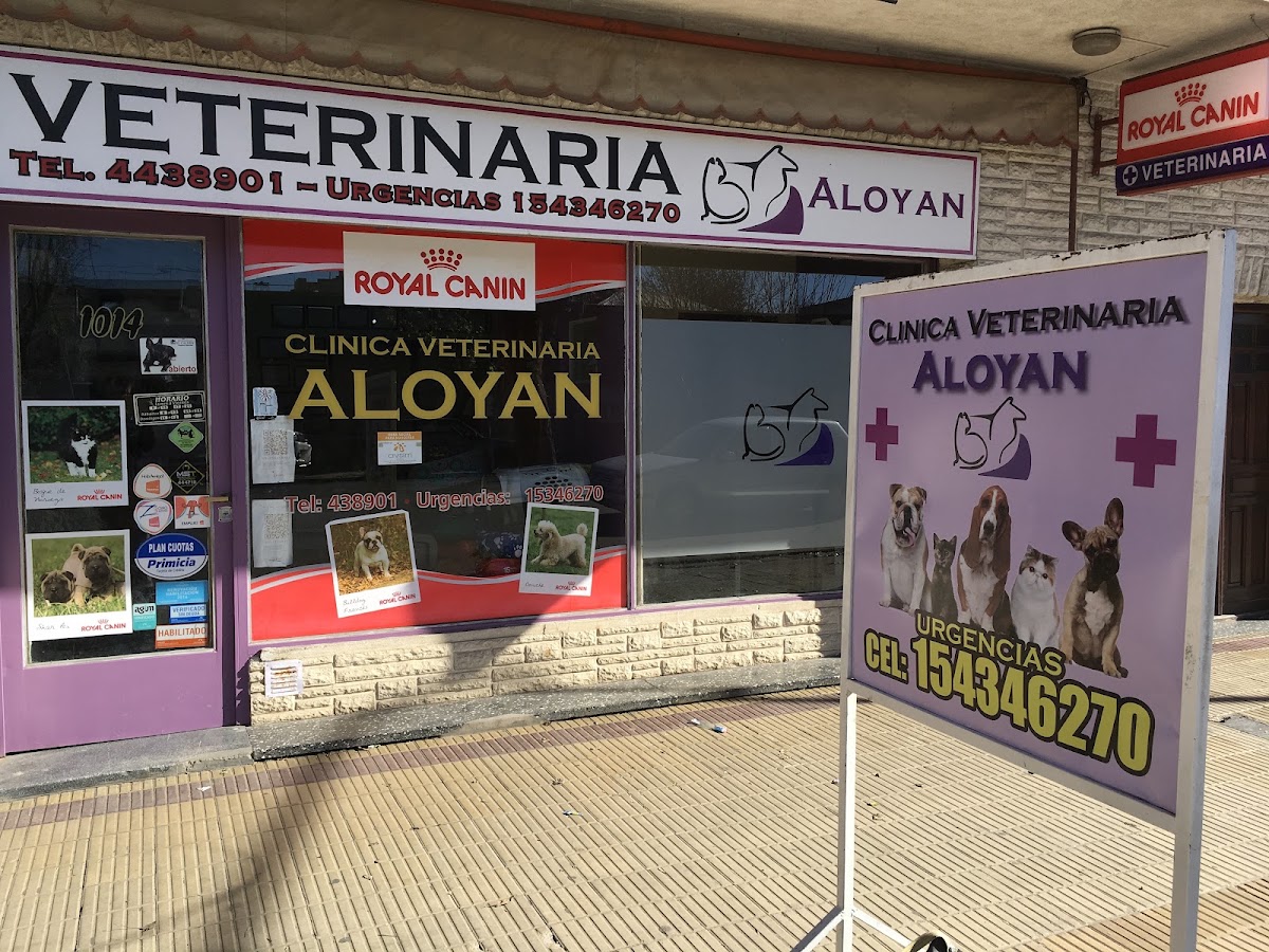 Aloyan - Clinica Veterinaria