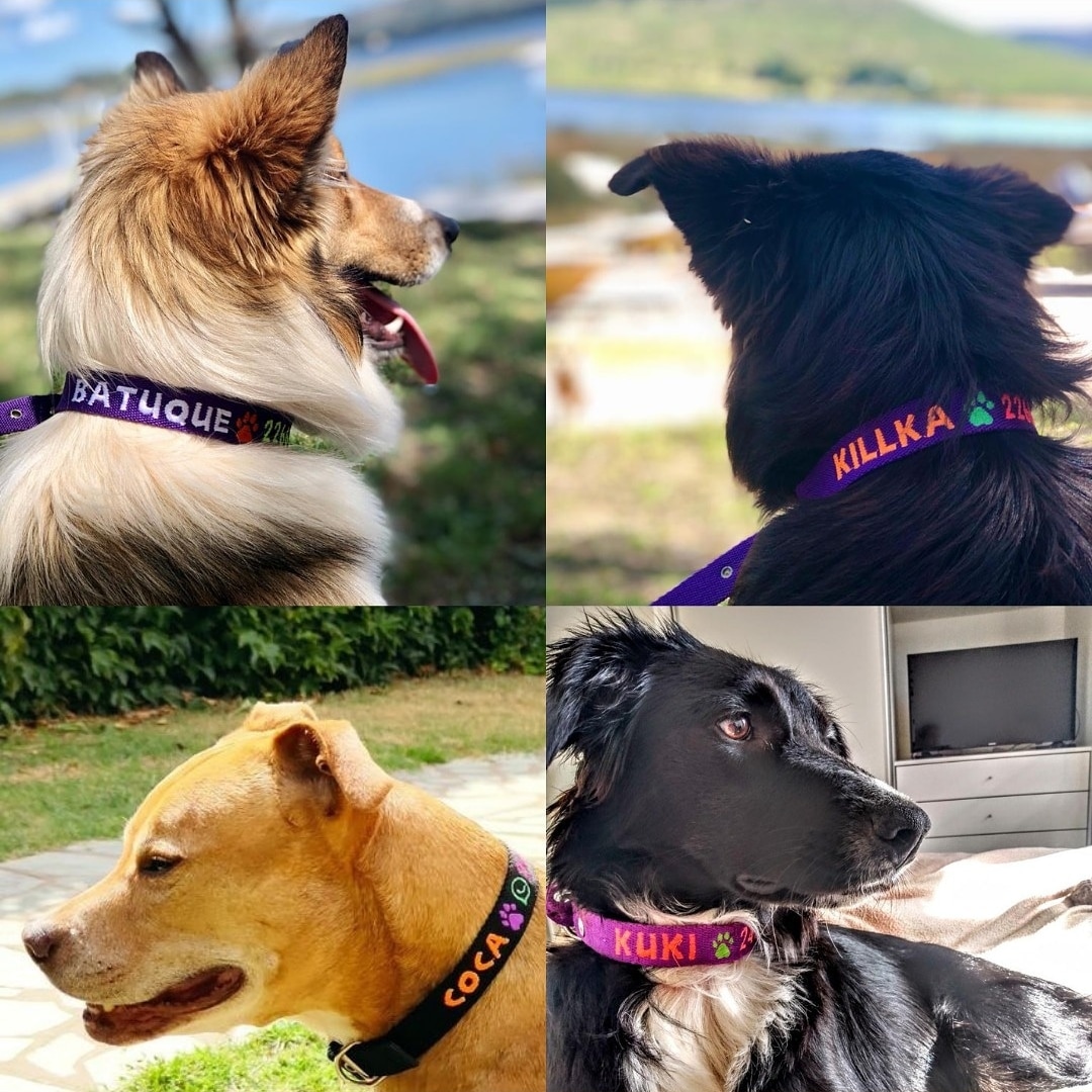 Collares Pet ID Bordados Personalizados.
