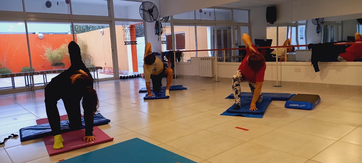 Le Gym