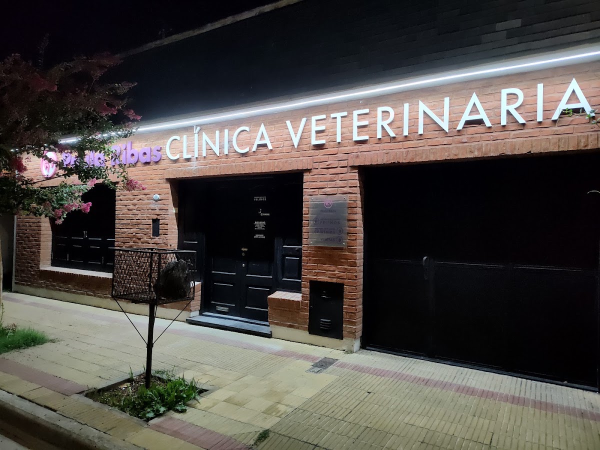 Clínica Veterinaria Paula Ribas