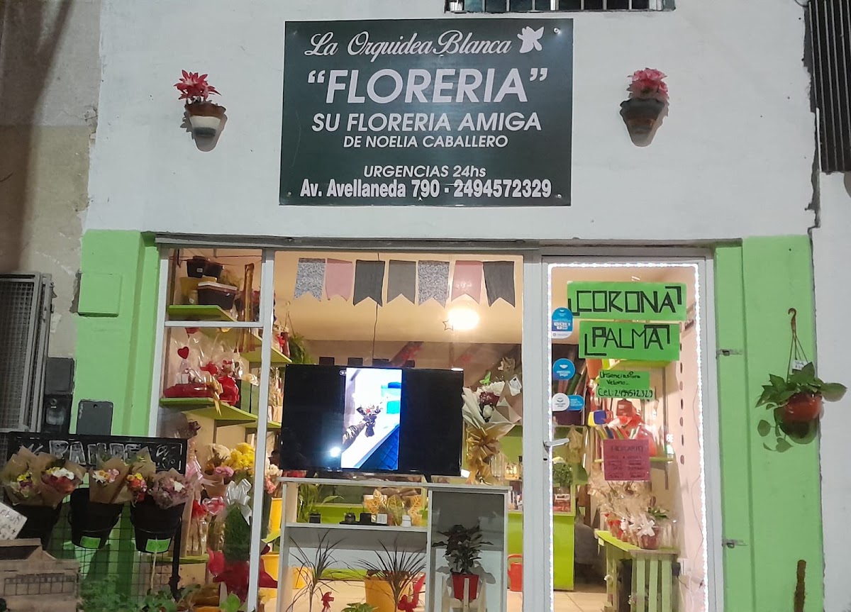 Florería La Orquídea Blanca