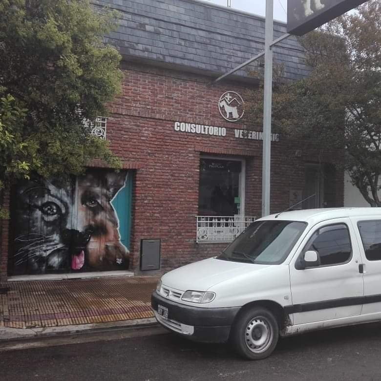 Medicina Animal Tandil (MAT)