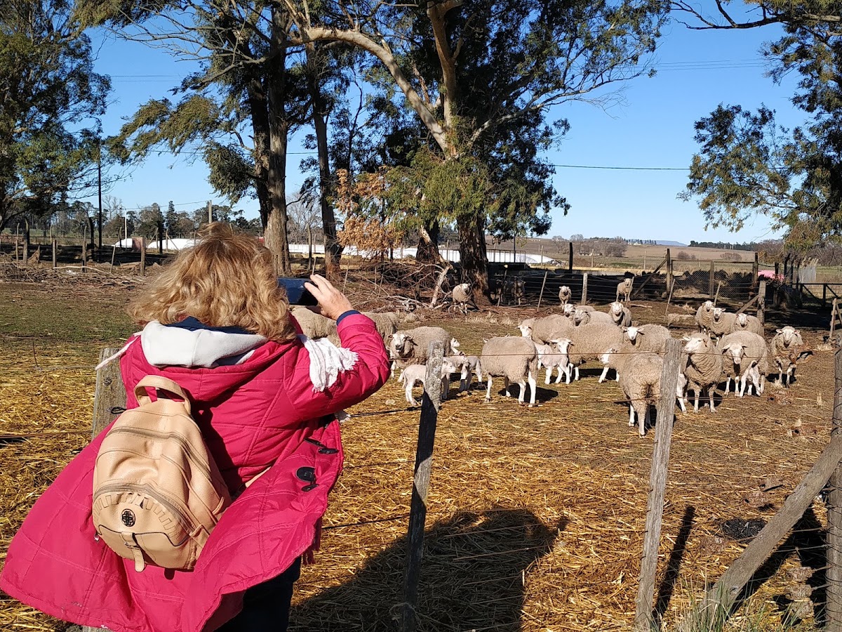 Turismo Rural Tandil
