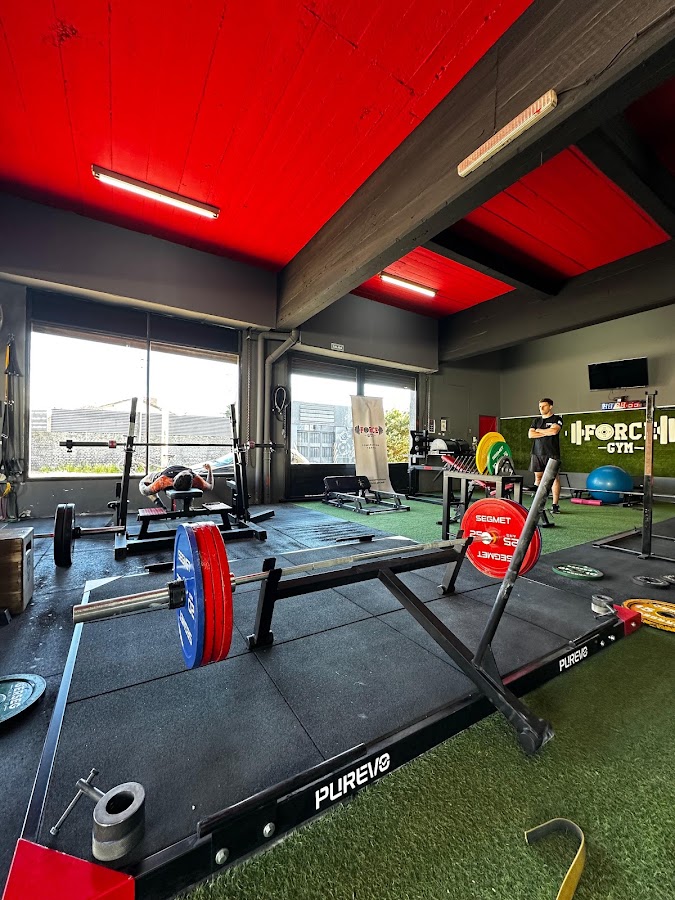 Force Gym