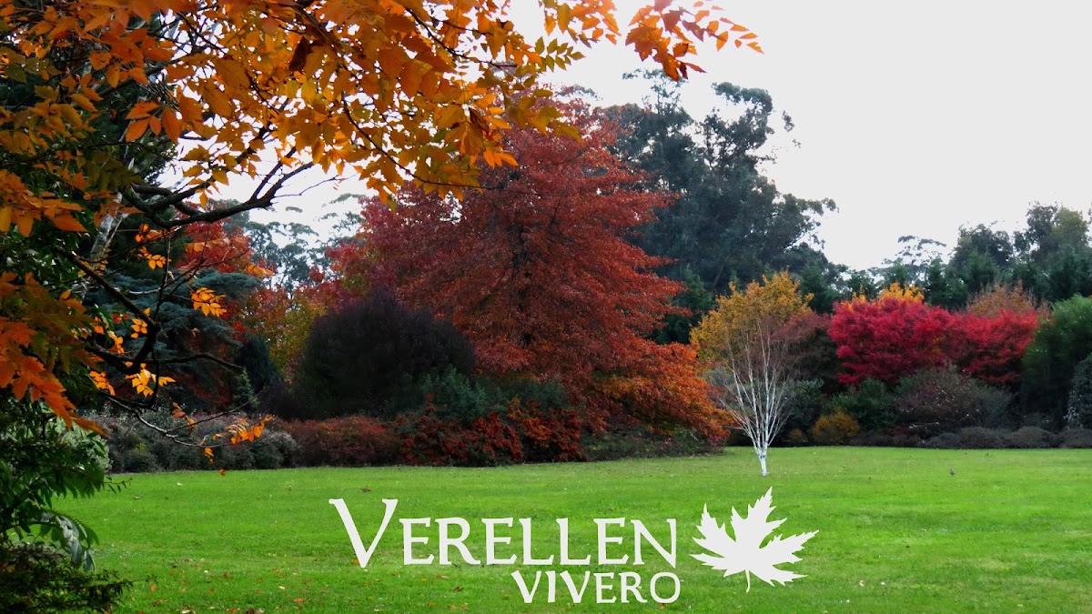 Vivero Verellen