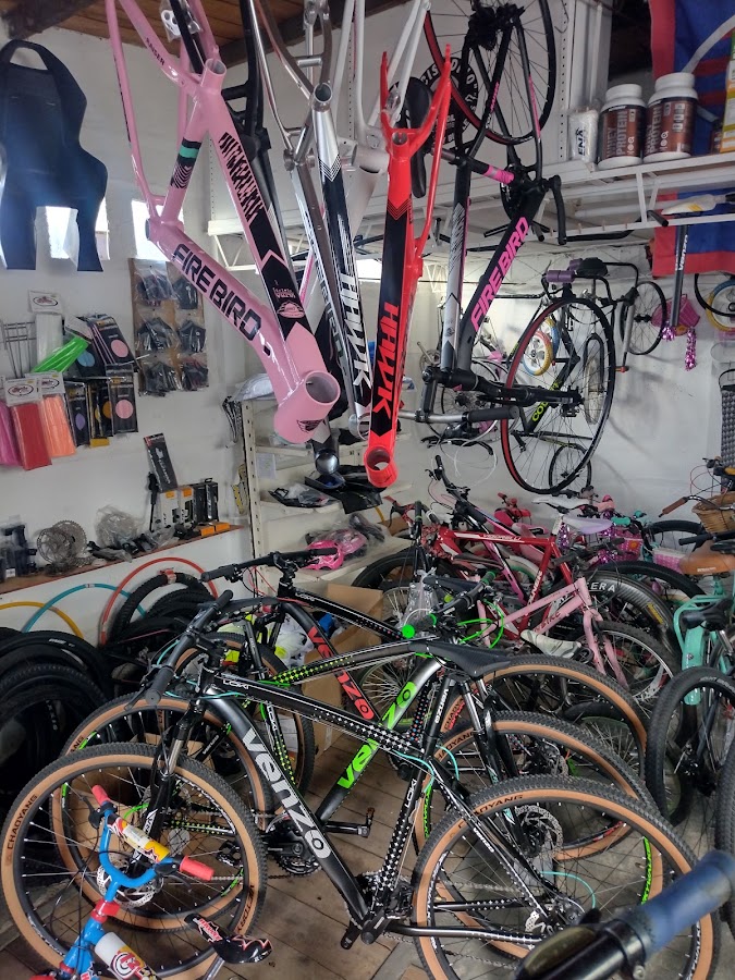 Bicis Dino Tandil